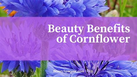 Cornflower benefits for hair